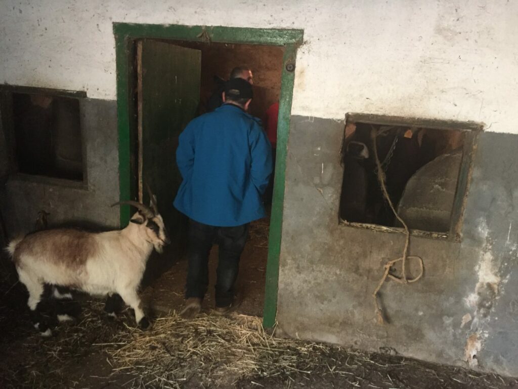 Nuestros caseríos y su carne. Orgullosos de nuestro origen