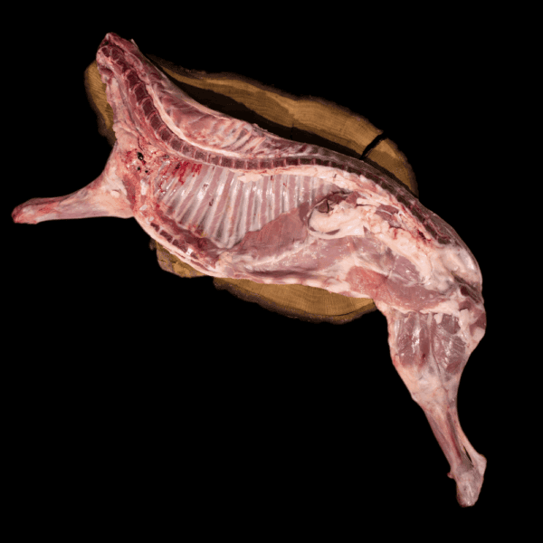 Carne de pescado fresca para cocina y mariscos de calidad en Iruki.